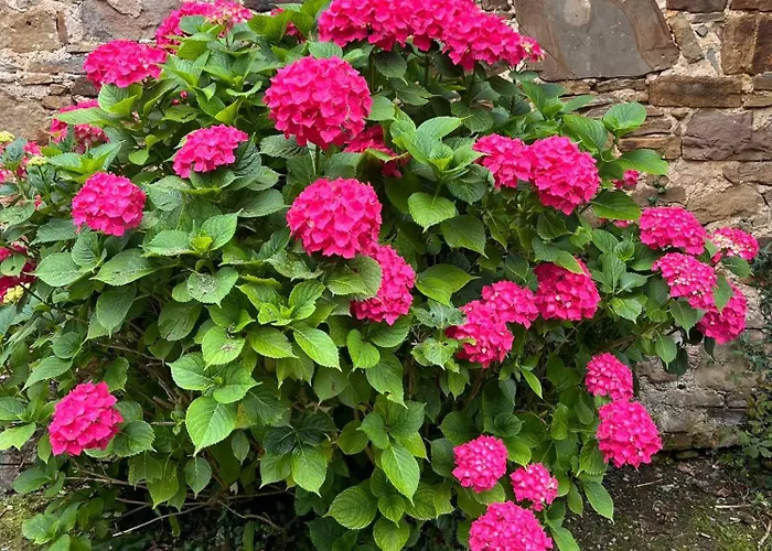 Spacieuse A Avec Piscine Privee * Haut-de-Bosdarros